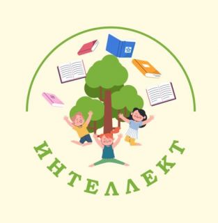 Студия развития «Интеллект»