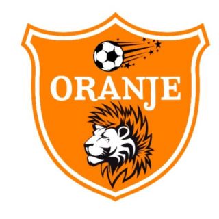 Детская футбольная школа «ORANJE»